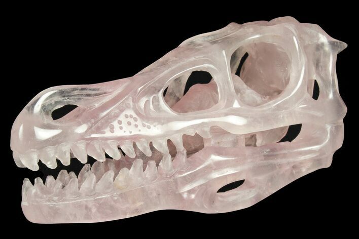 Carved Rose Quartz Dinosaur Skull - Roar! #227040